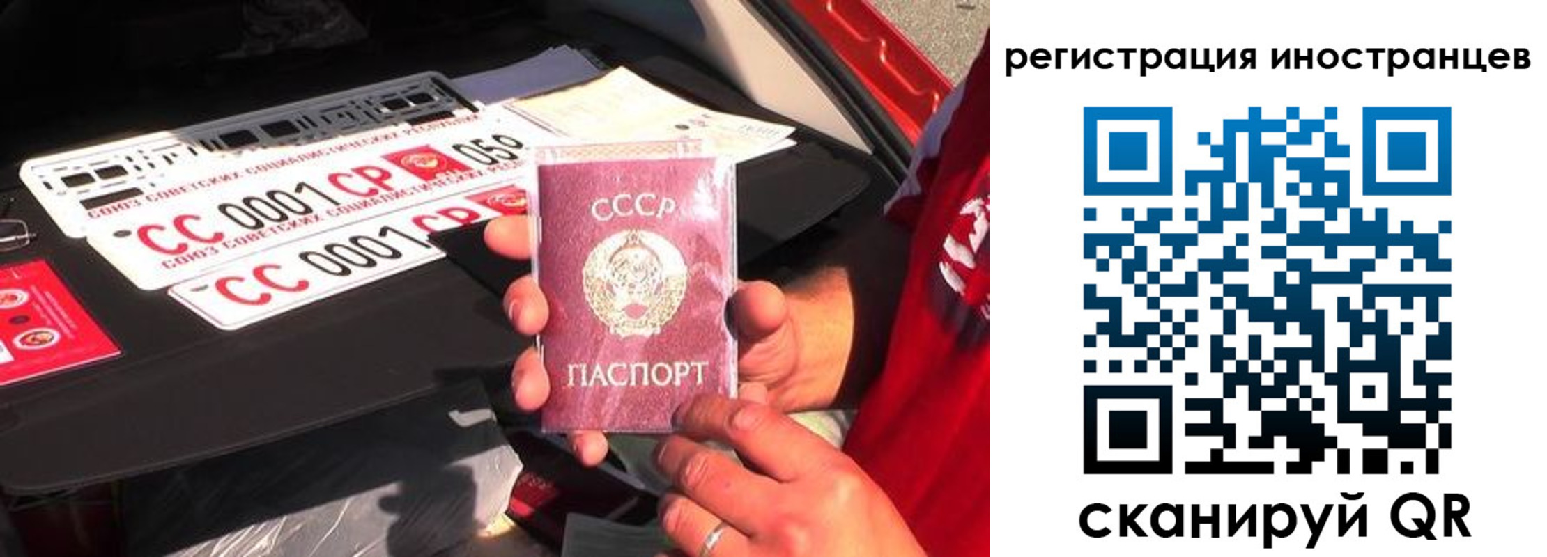 прописка гарантия в Саранске